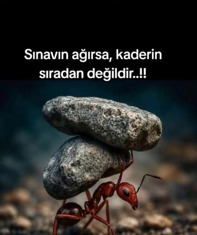@Paşa Gönlüm