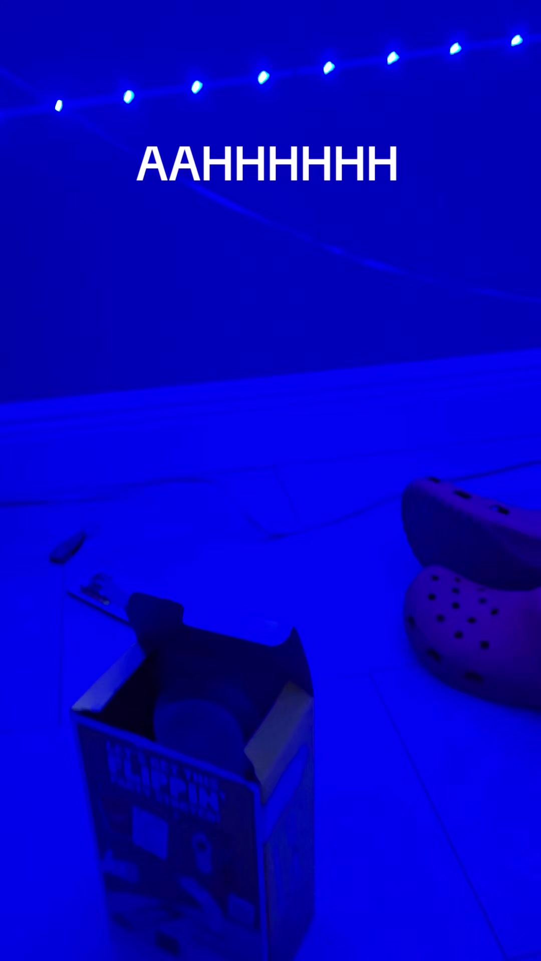 @UCFFURRY