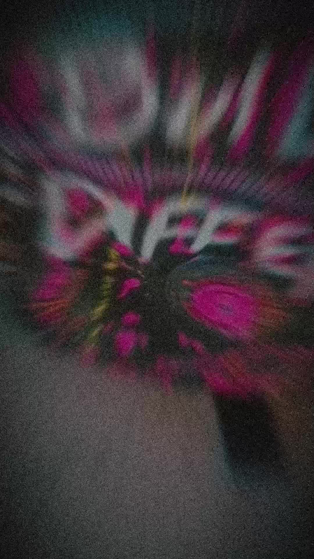 @🪬🌙𝓝𝓪𝓽 𝓐𝓽𝓽𝓪𝓬𝓴 🧿🪬