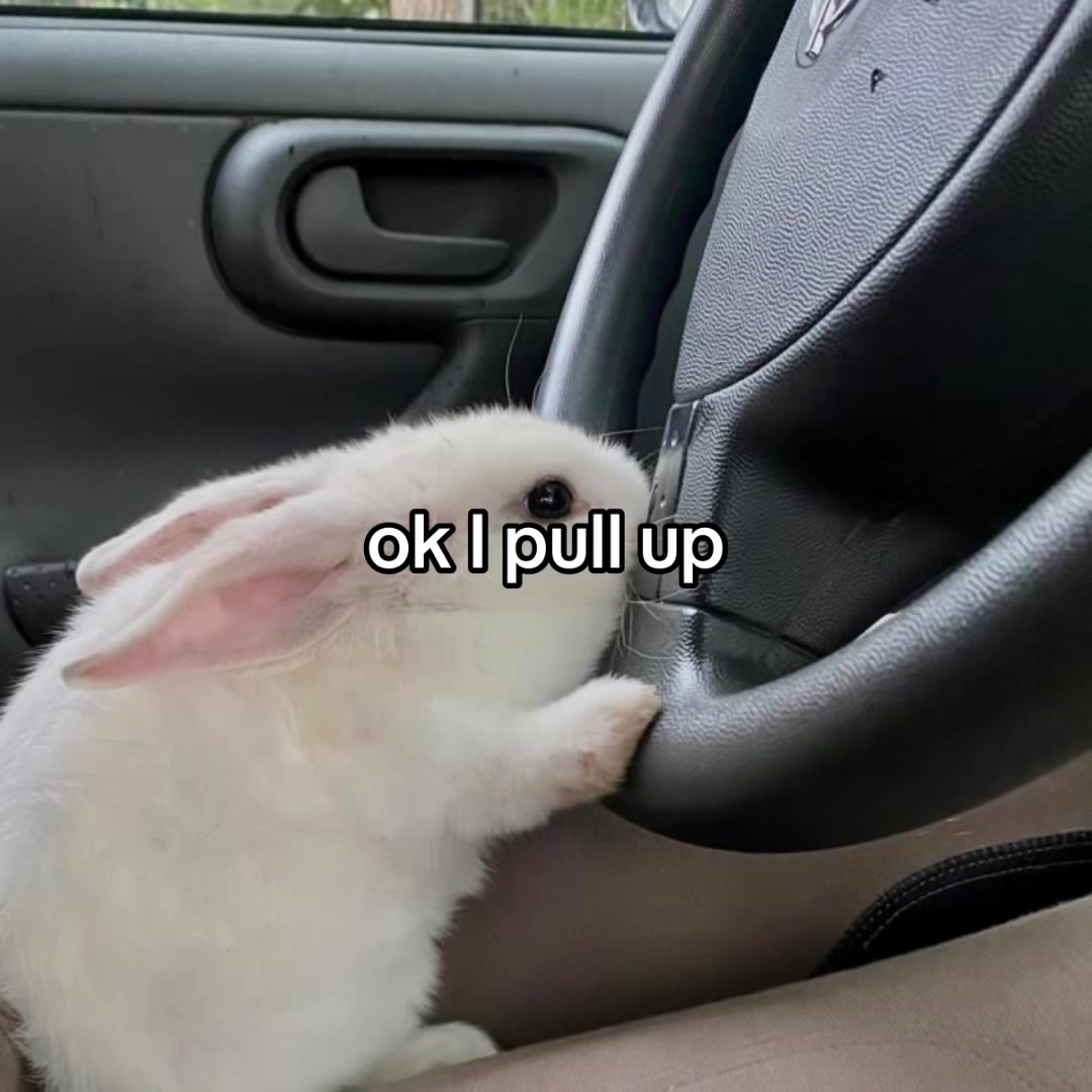@chicken nugget