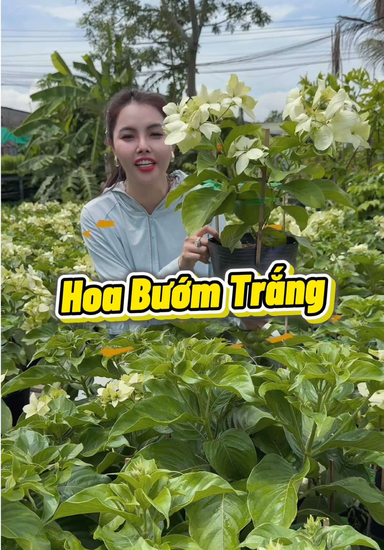 @Tiệm Lá Nhỏ