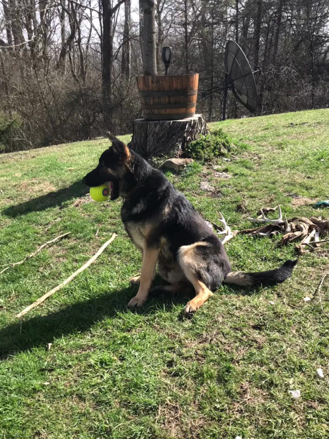 @MERCURY_GSD_24_7