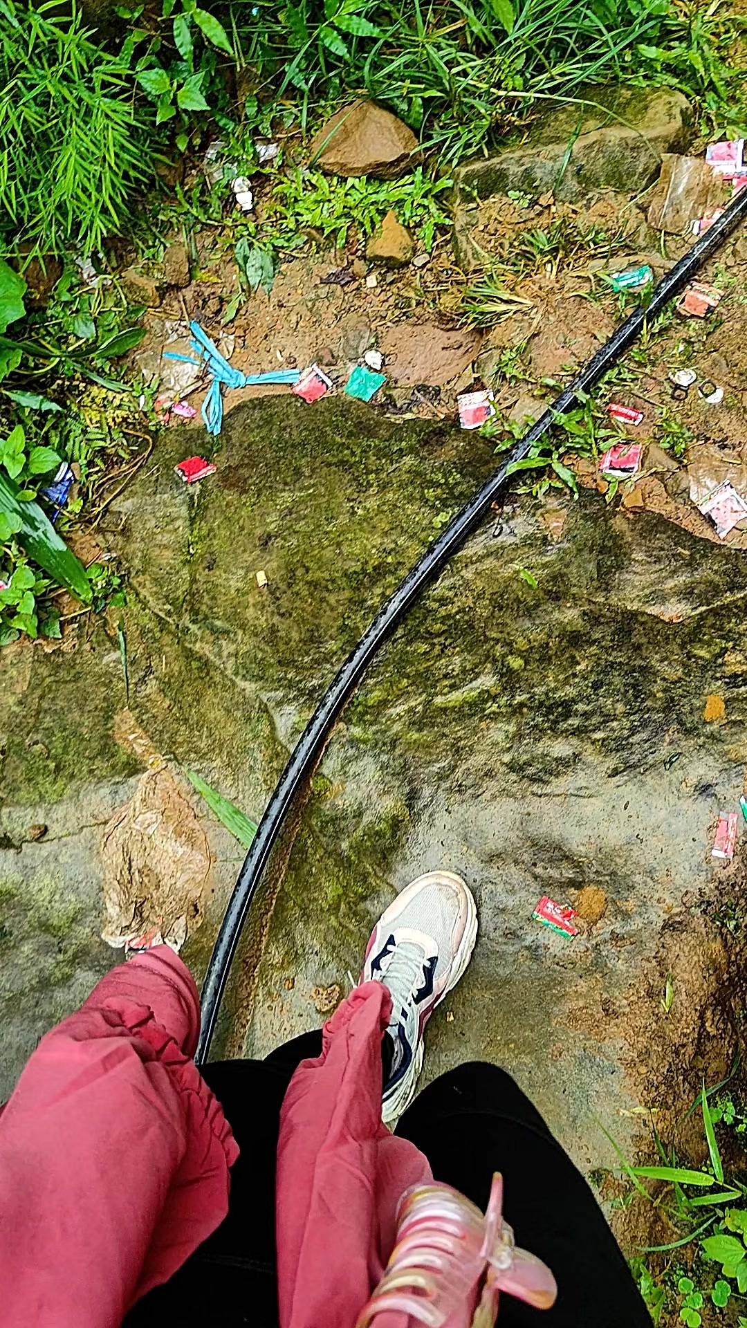 @🌸🌷🩷