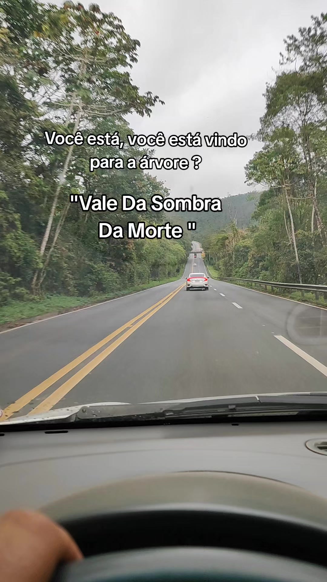 @André Miranda