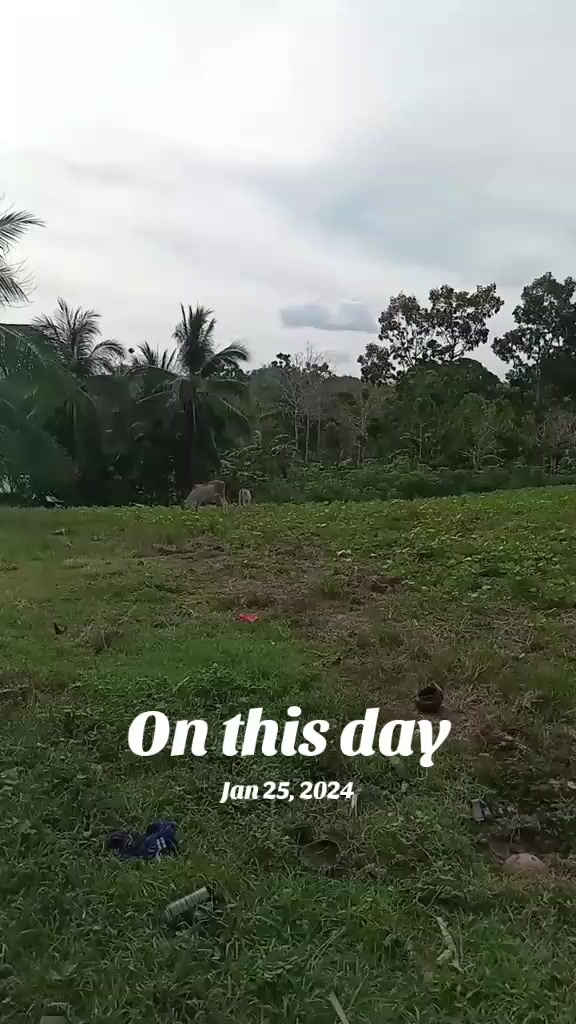 @🐦&zwj;🔥S&ecirc;L&ecirc;n🐦&zwj;🔥