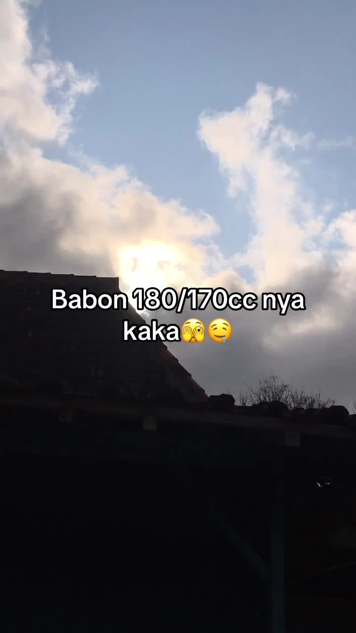@𝘍𝘌𝘉𝘙𝘐𝘈𝘌.