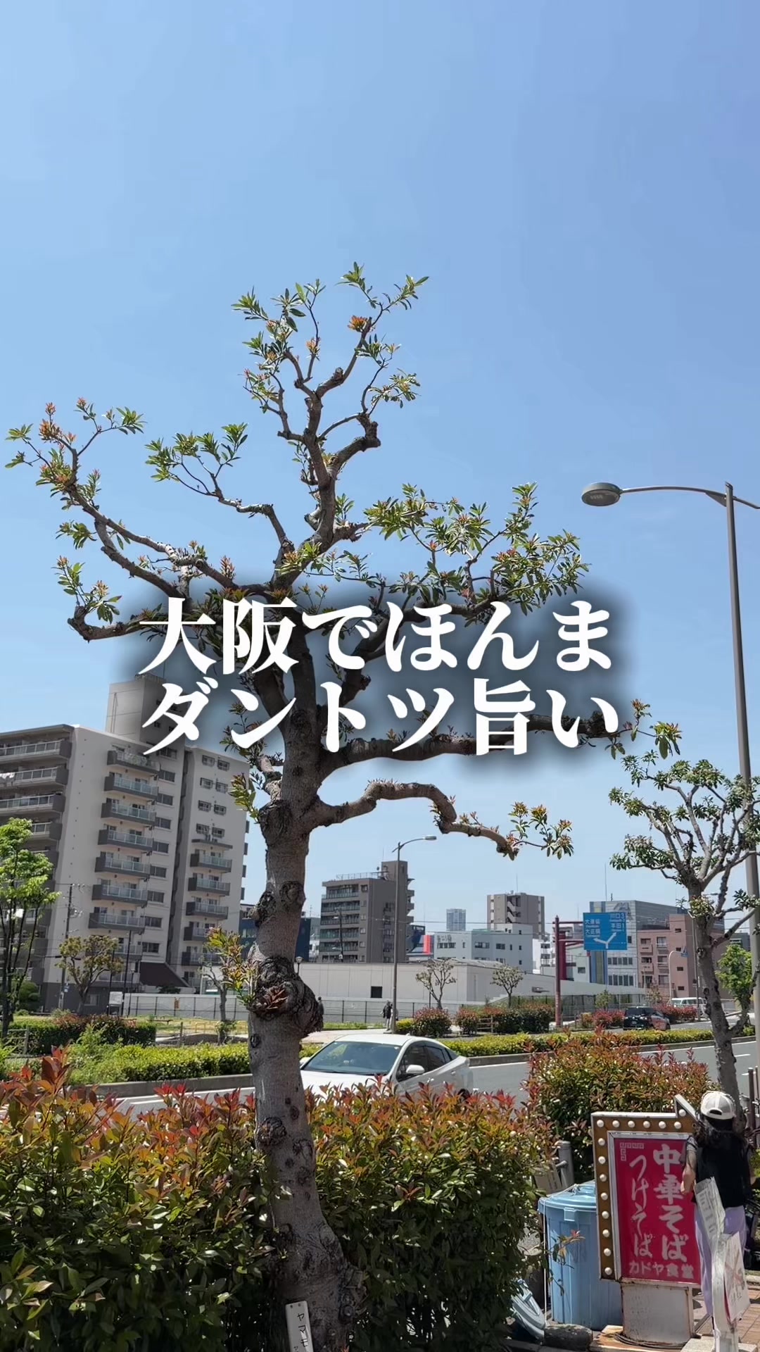 @セバ【大阪グルメ王関西グルメ王におれはなる】