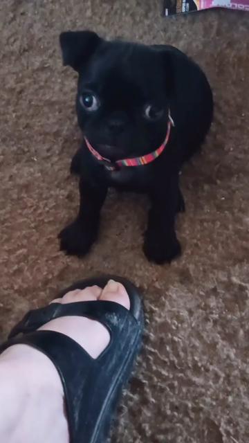 @ACrazyCatLady82