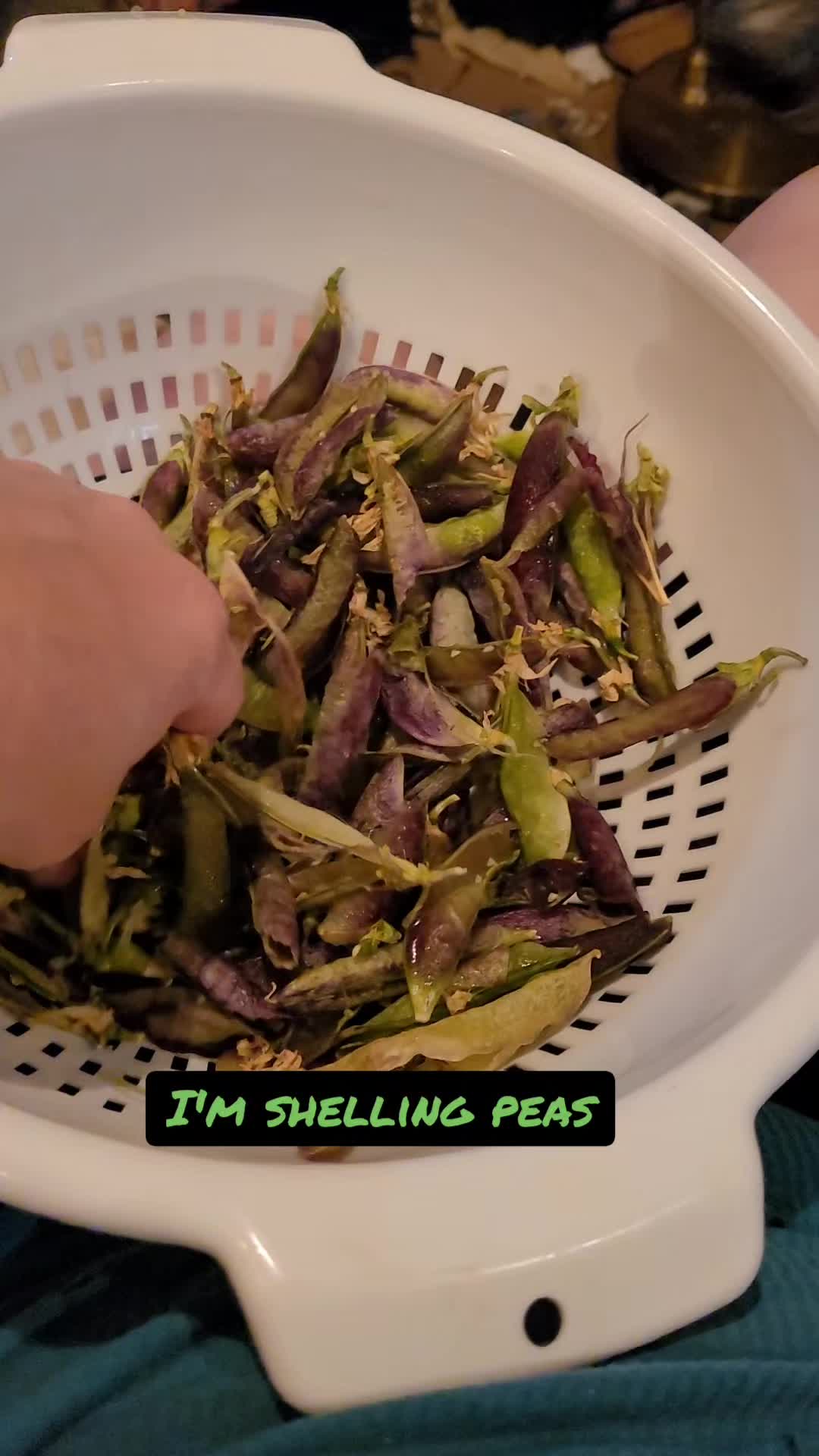 @VioletHorizonsFarm