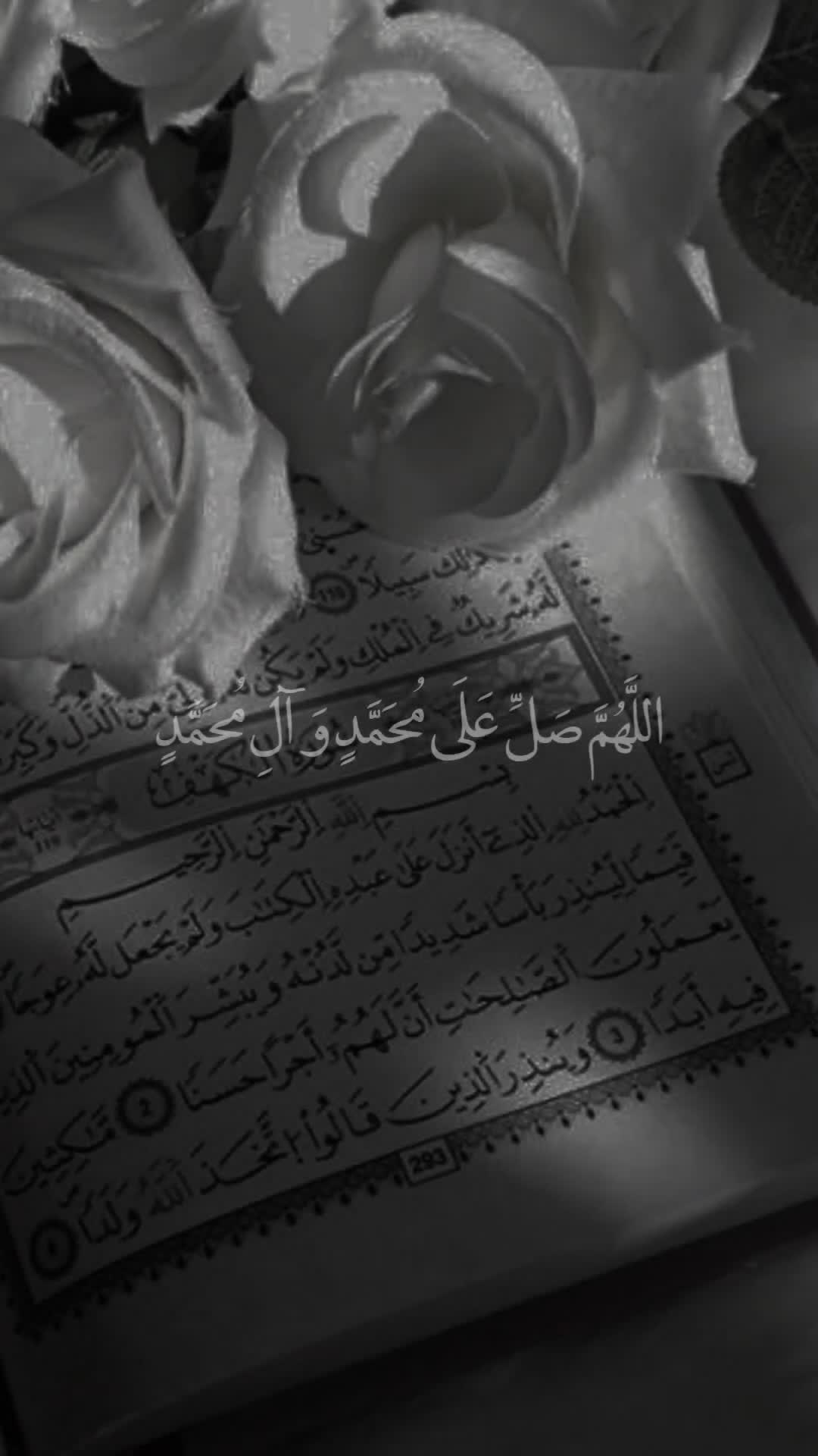@قائد الغُرِّ المُحَجَّلين
