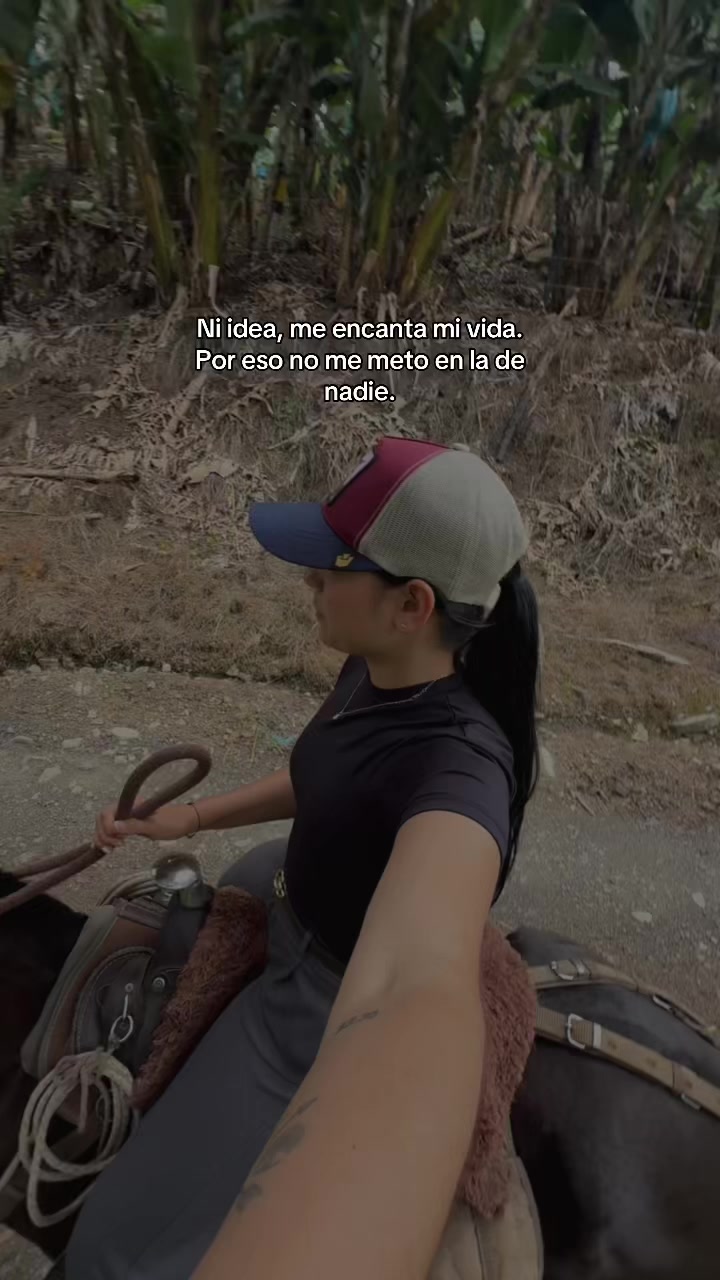 @Lu