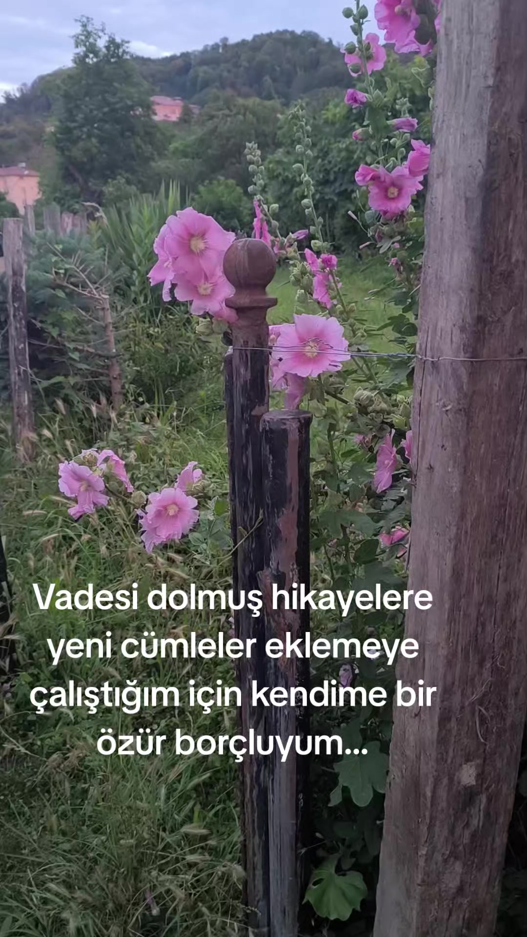 @2cocukannesi