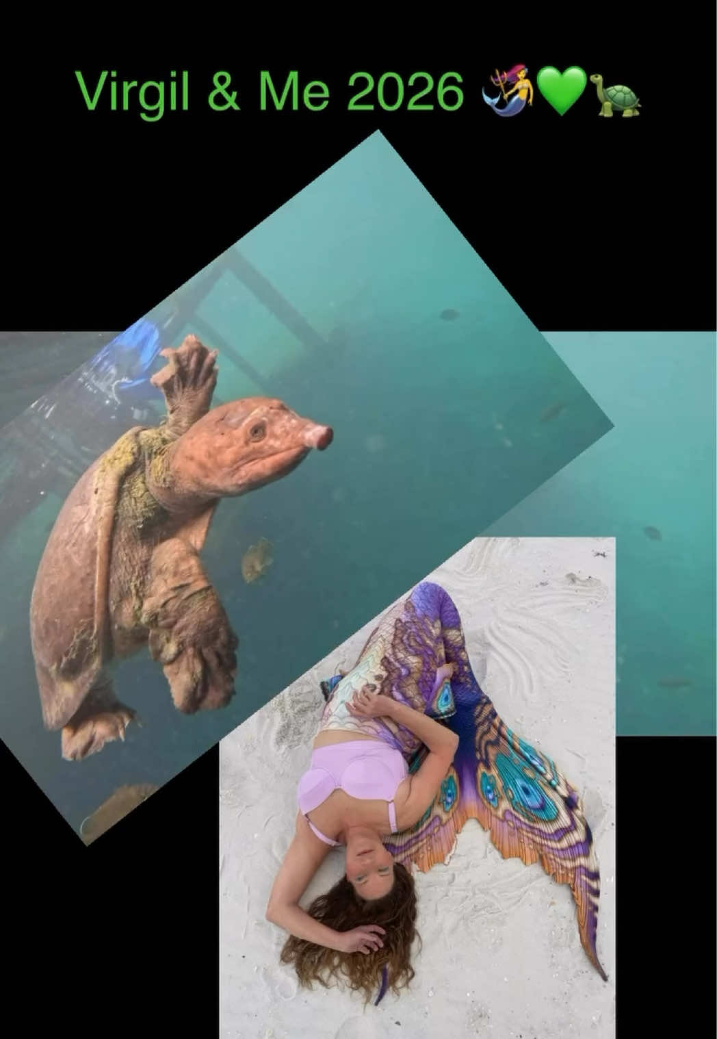@Gulf Coast Mermaid 🧜&zwj;♀️