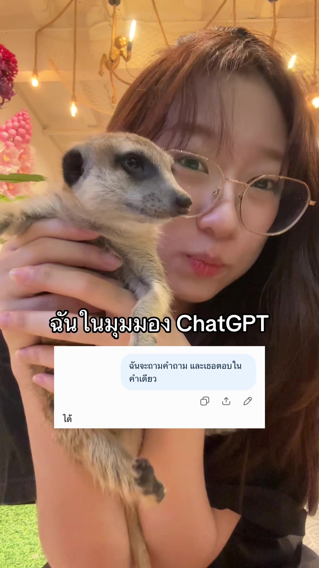 @plcyss
