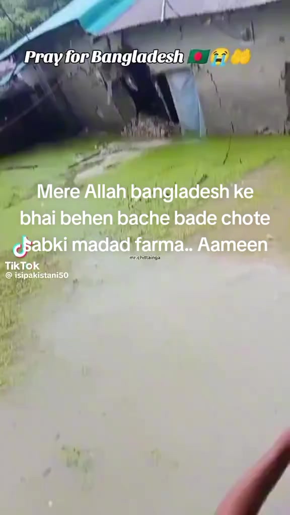 @asif bin yousuf