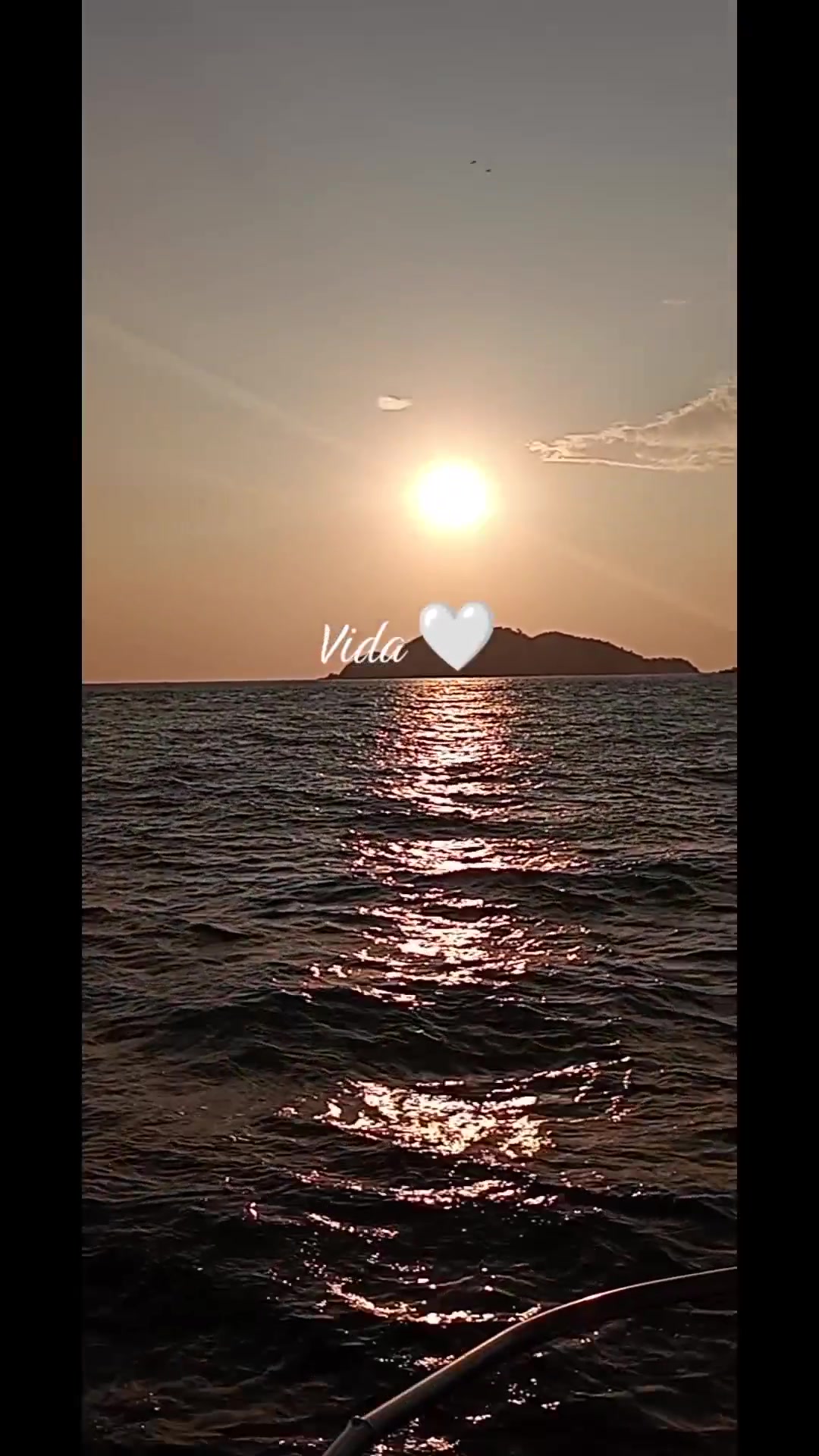@Sofi20_04