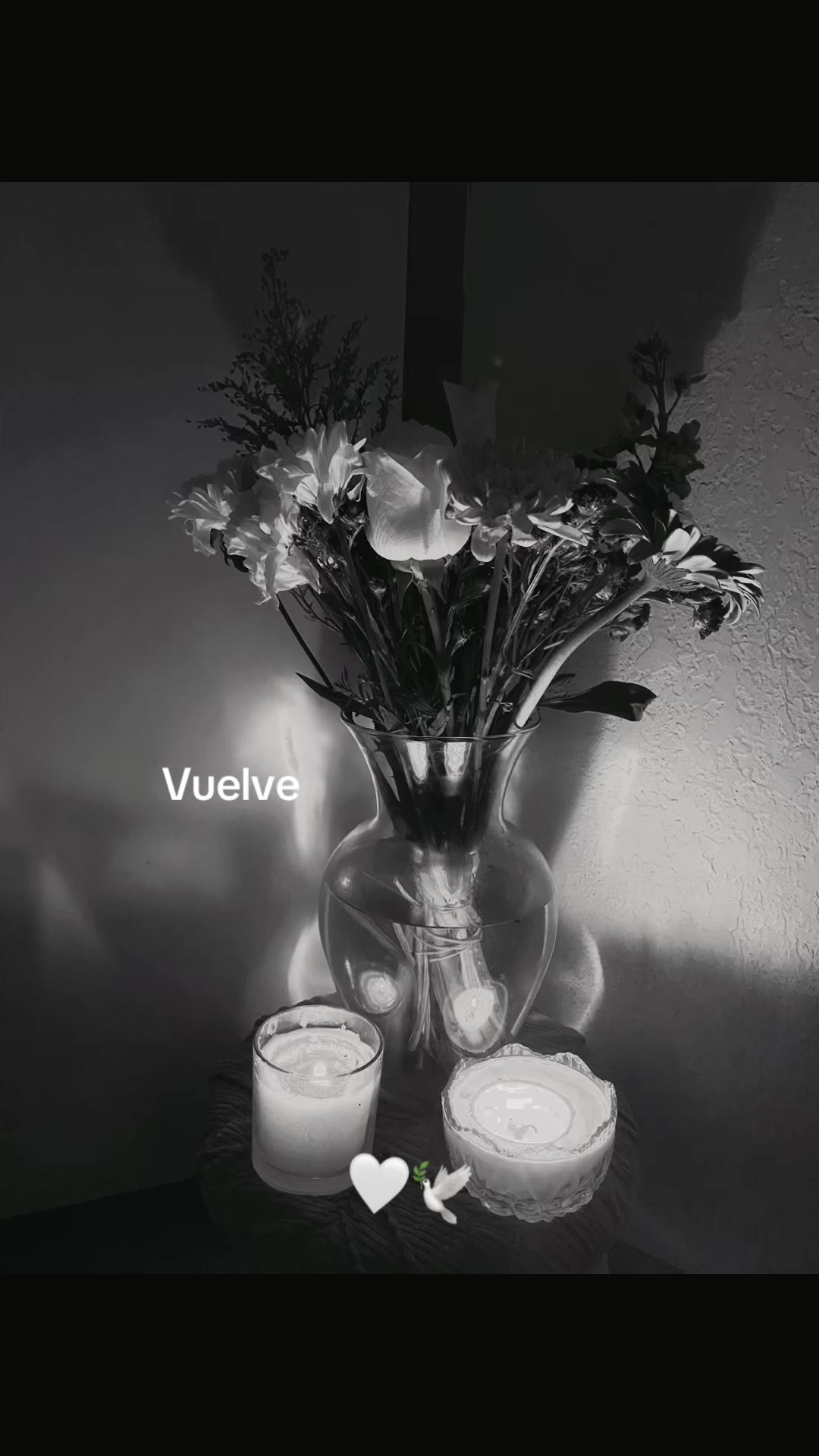 @Lûpîtå..💗