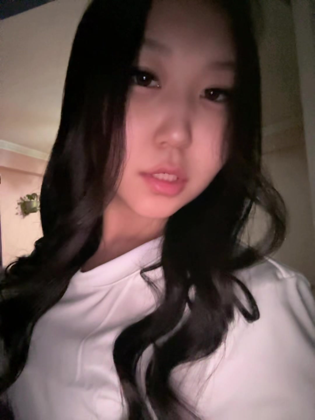 @DSHNMVV