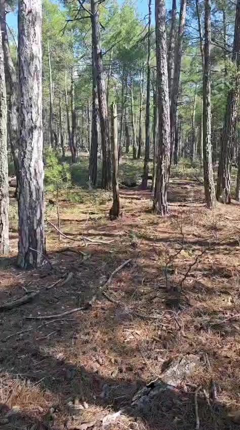 @Güler Kaya