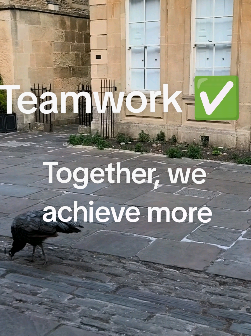 @Teamwork