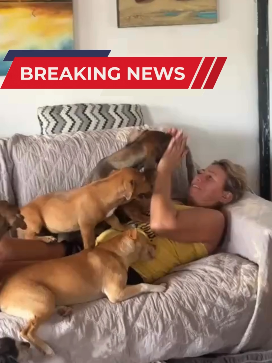 @A Dogs New Life
