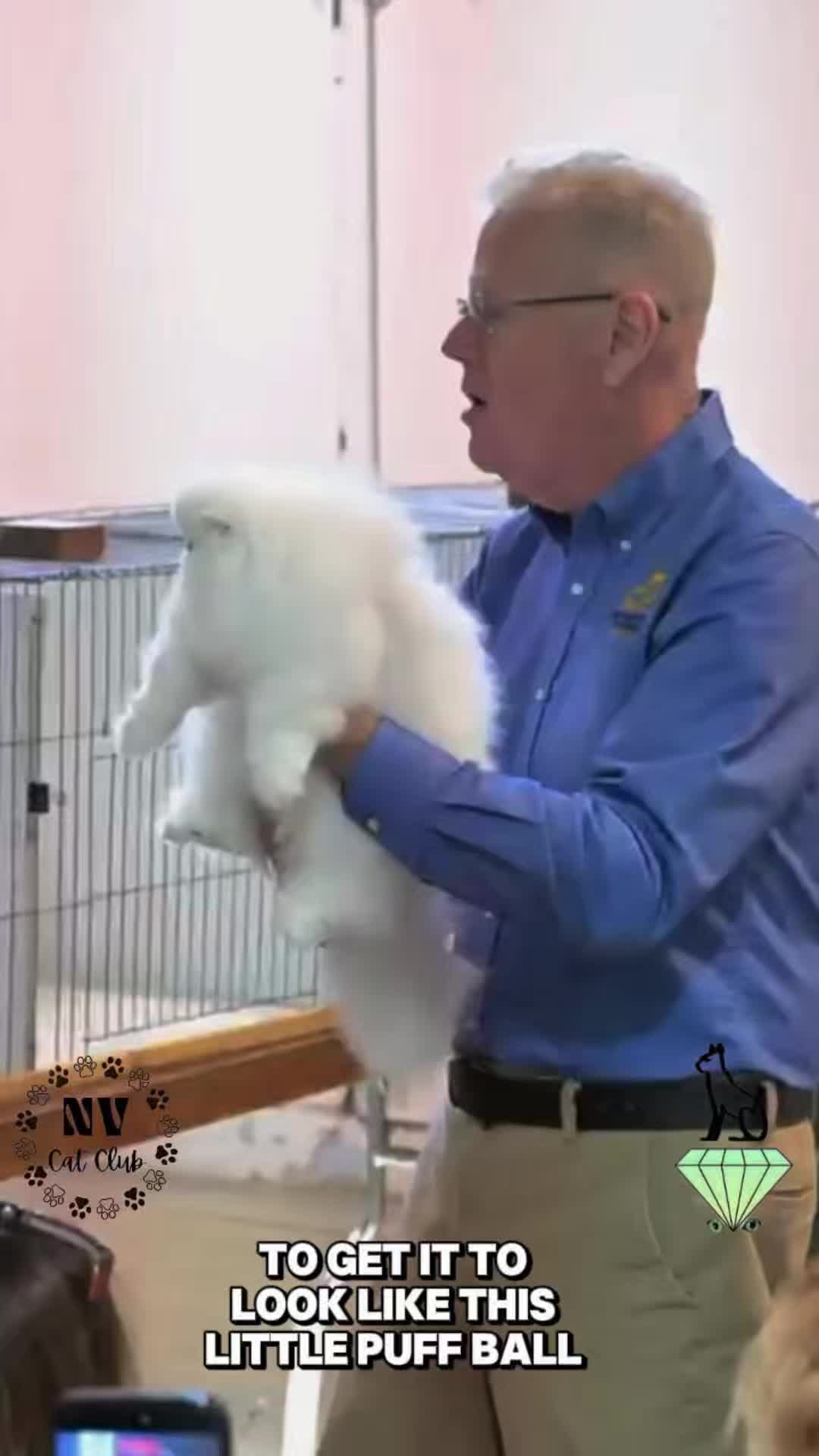 @NewVisionCatClub