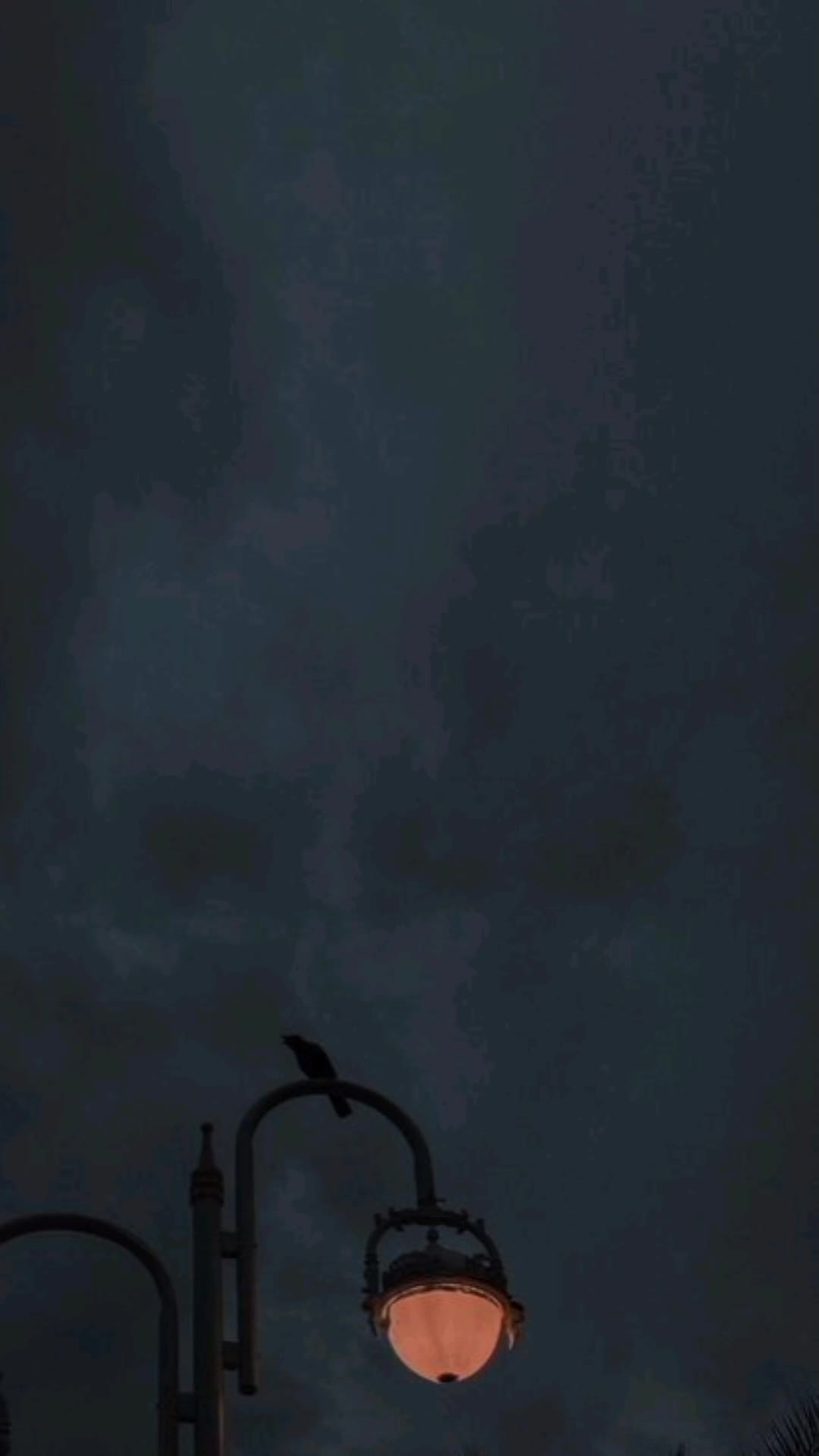 @♥︎‿♥︎