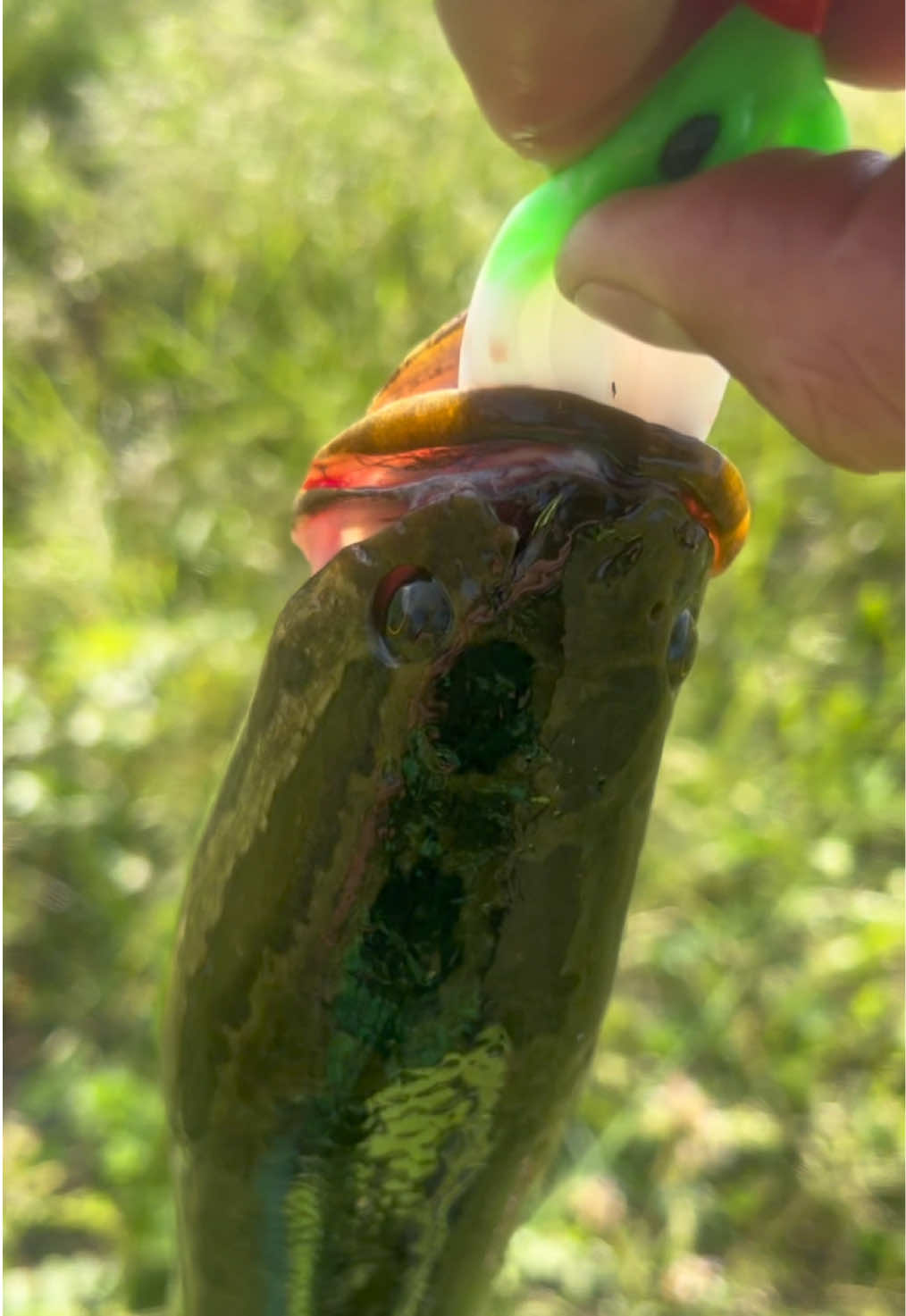 @АзиАтский СтрАнник 🦈