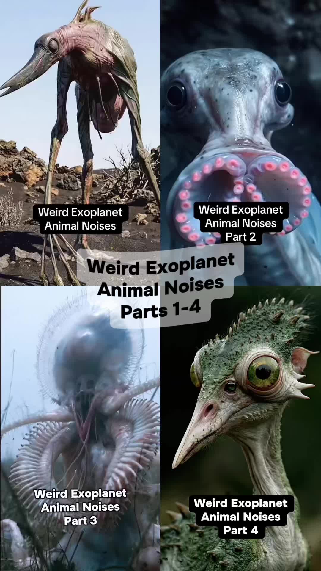 @ExoplanetWildlife