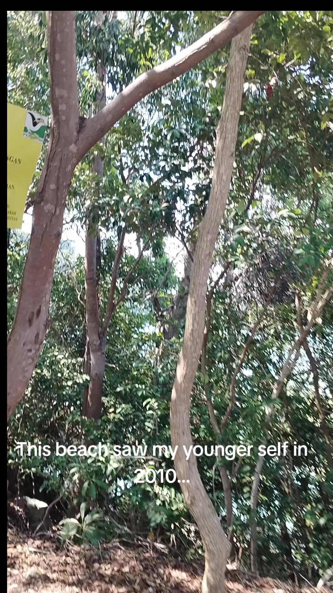 @Millankeshreddy