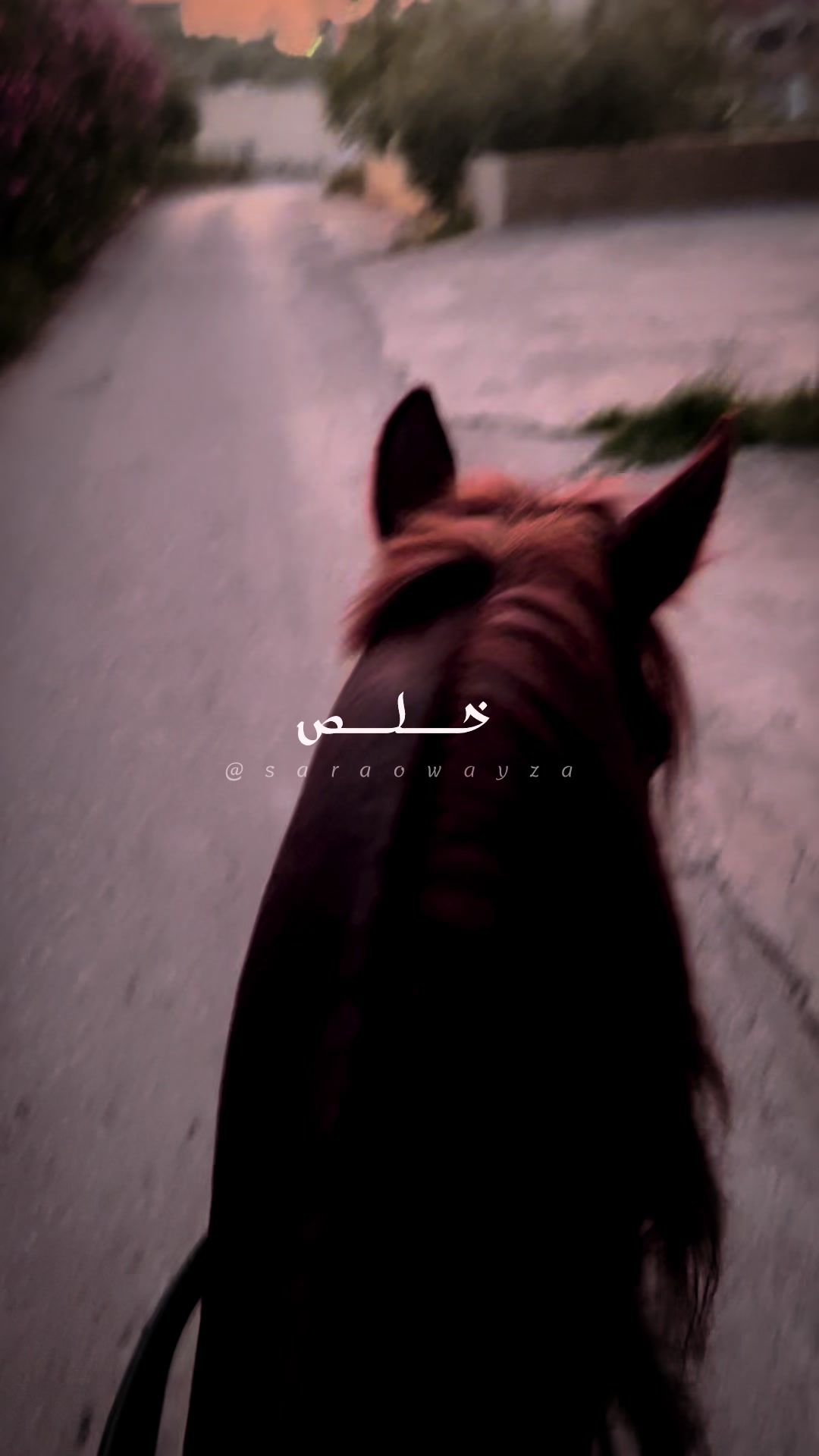 @༊෴✿سہارة✿〄