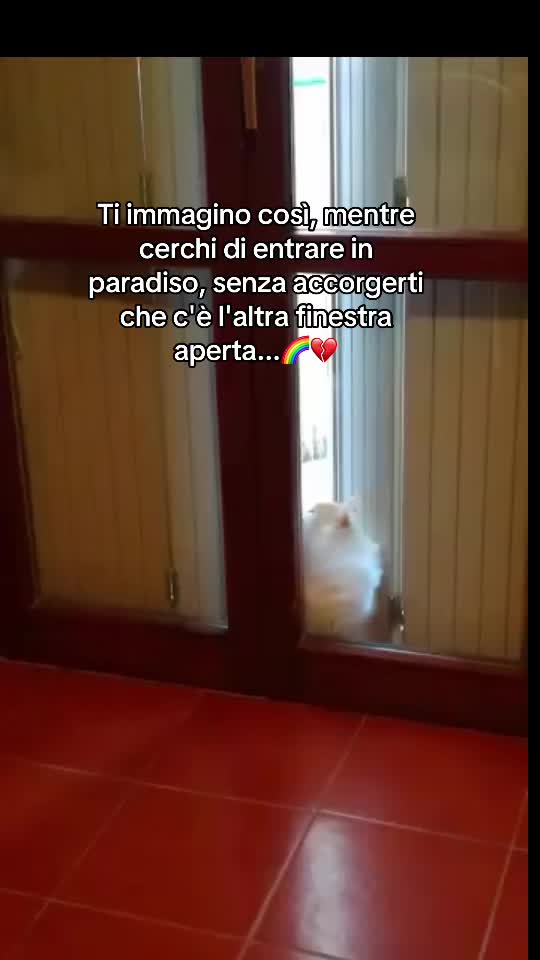 @Kiki AryaSirius Carrara