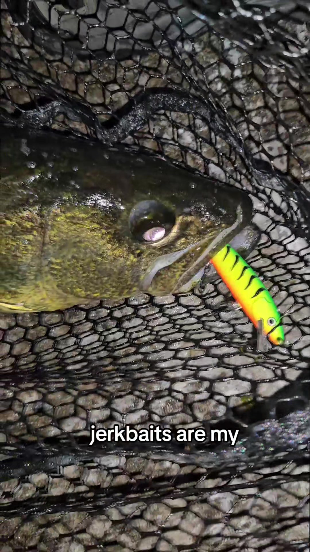 @FishingParadise