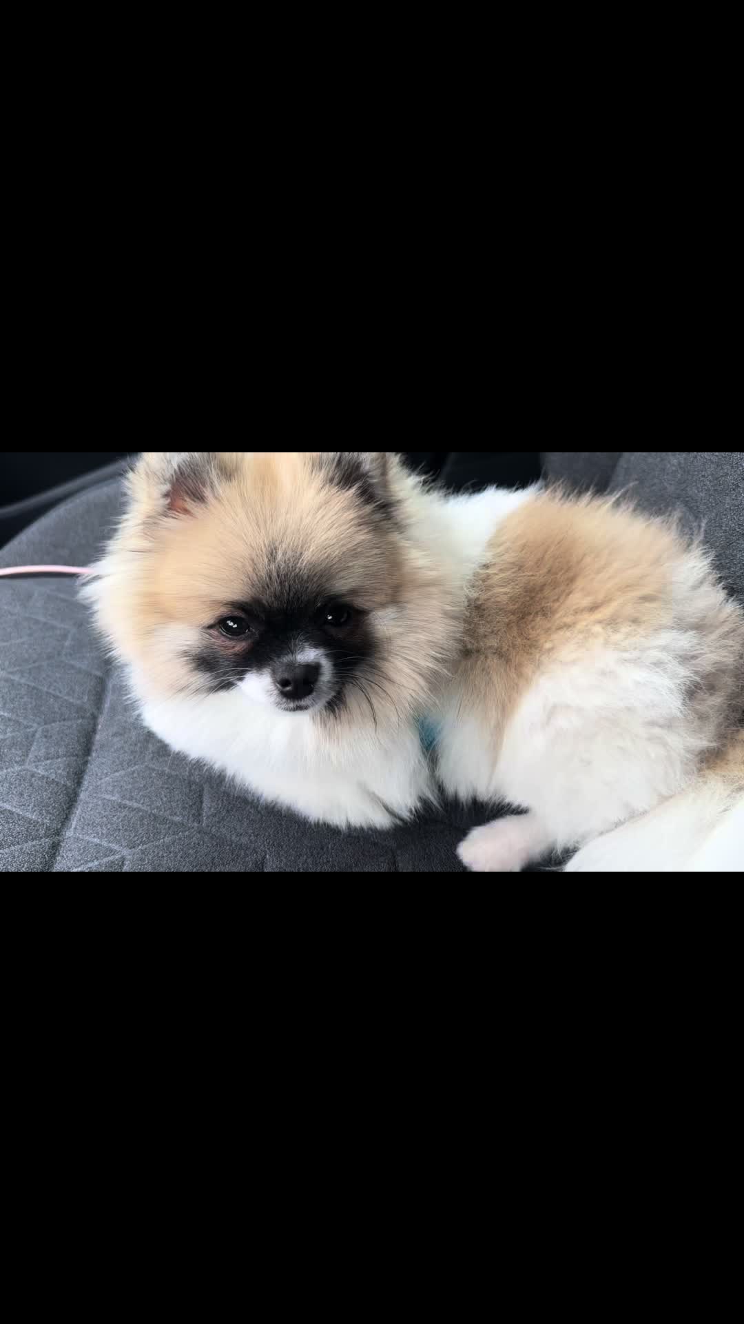 @mocxkrt
