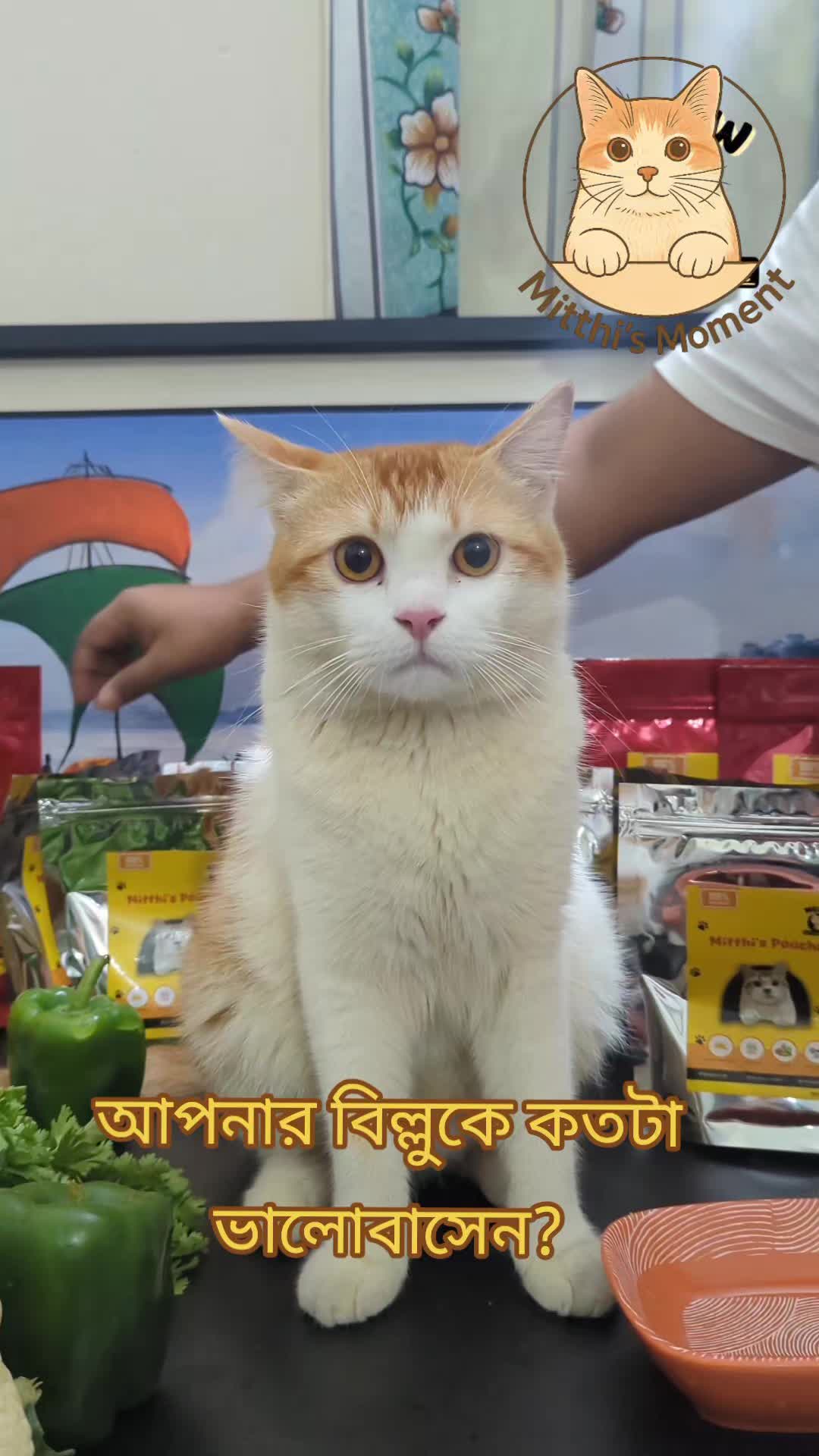 @Mitthi the Meow Meow