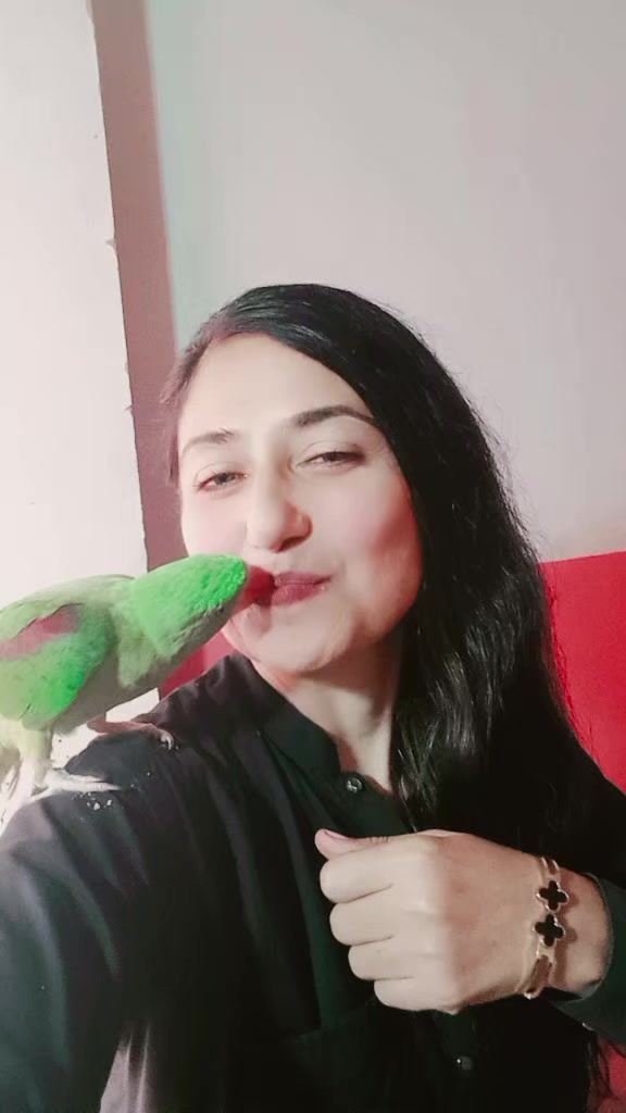@shabnamkhan5000