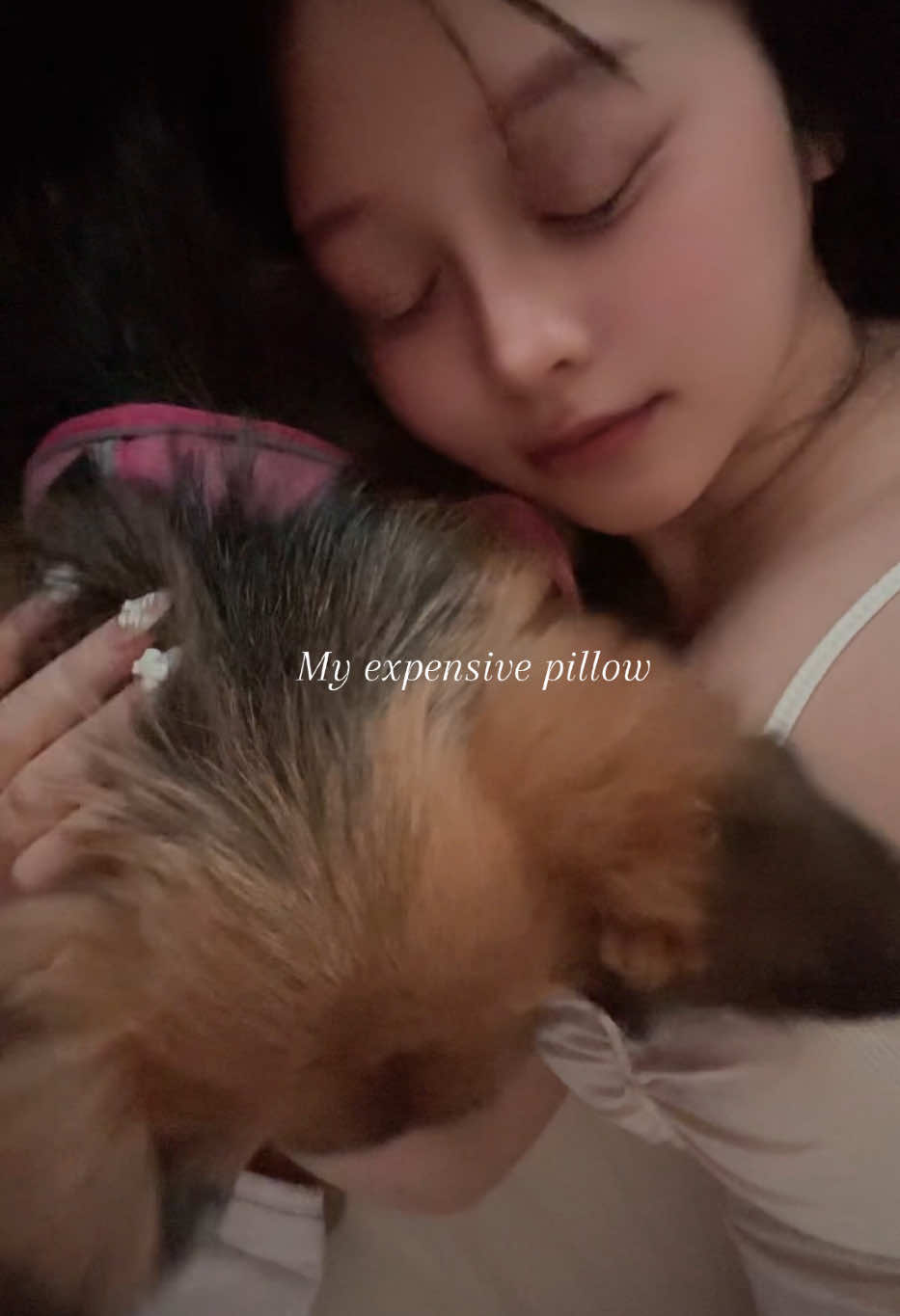 @คุณหนูบ้านเรมุ | Remu Pups 🐼