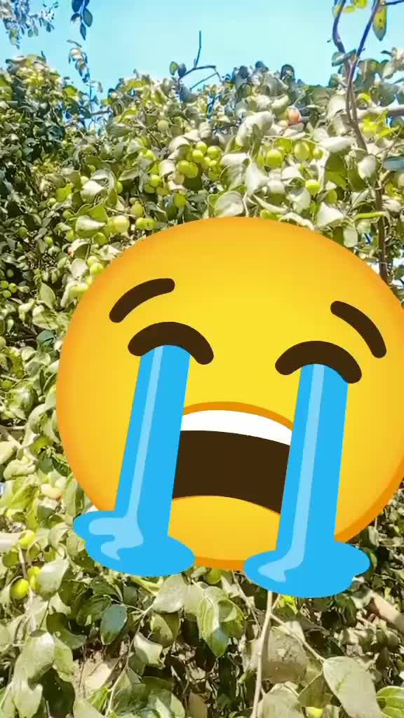 @Mannu🤎