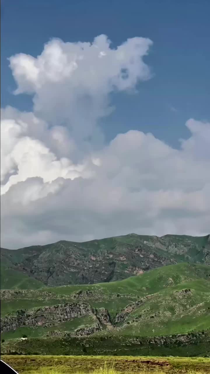 @𝕎𝕠𝕝𝔽🐺