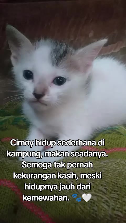 @Lina herlina