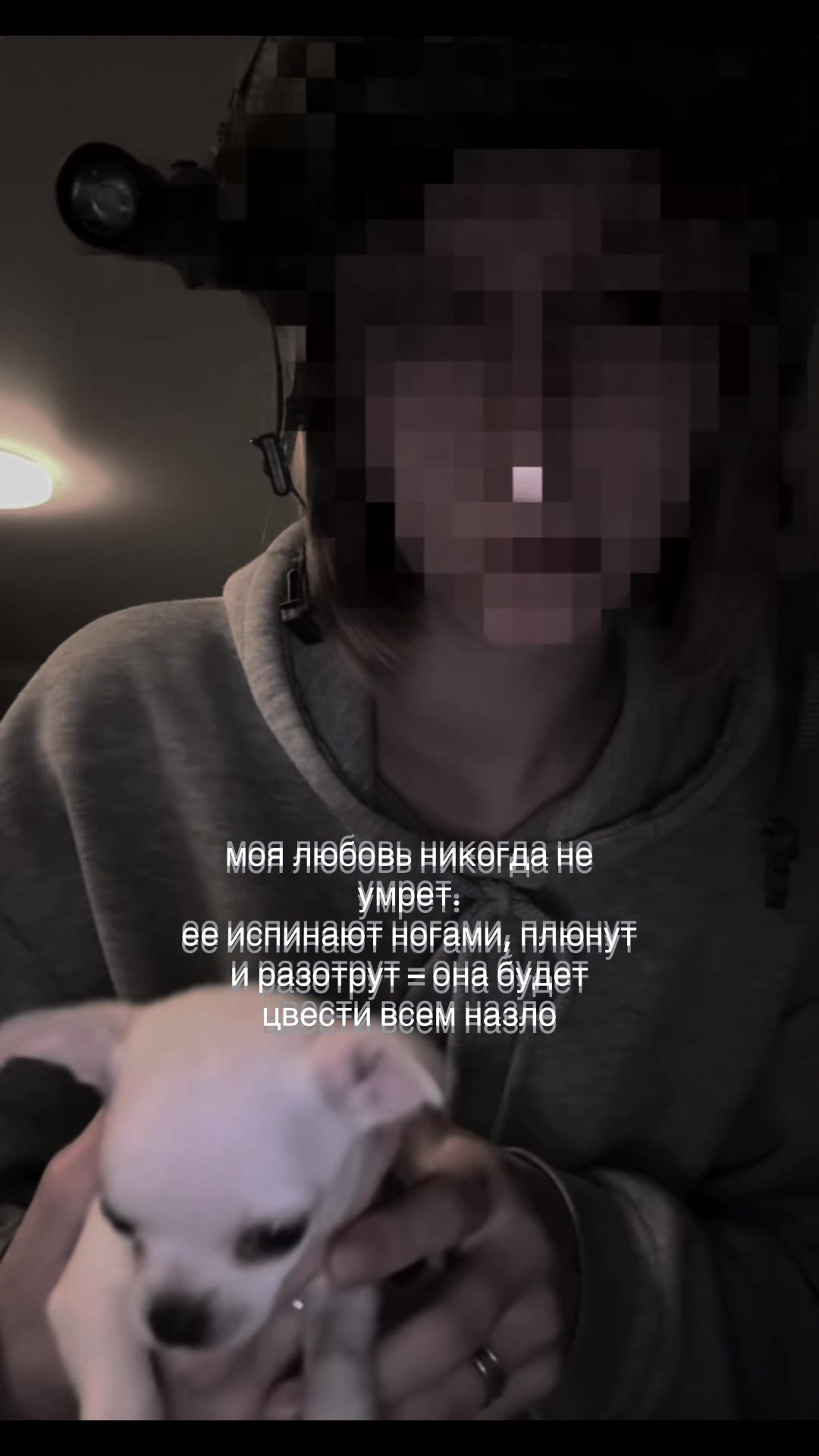 @куарти$$