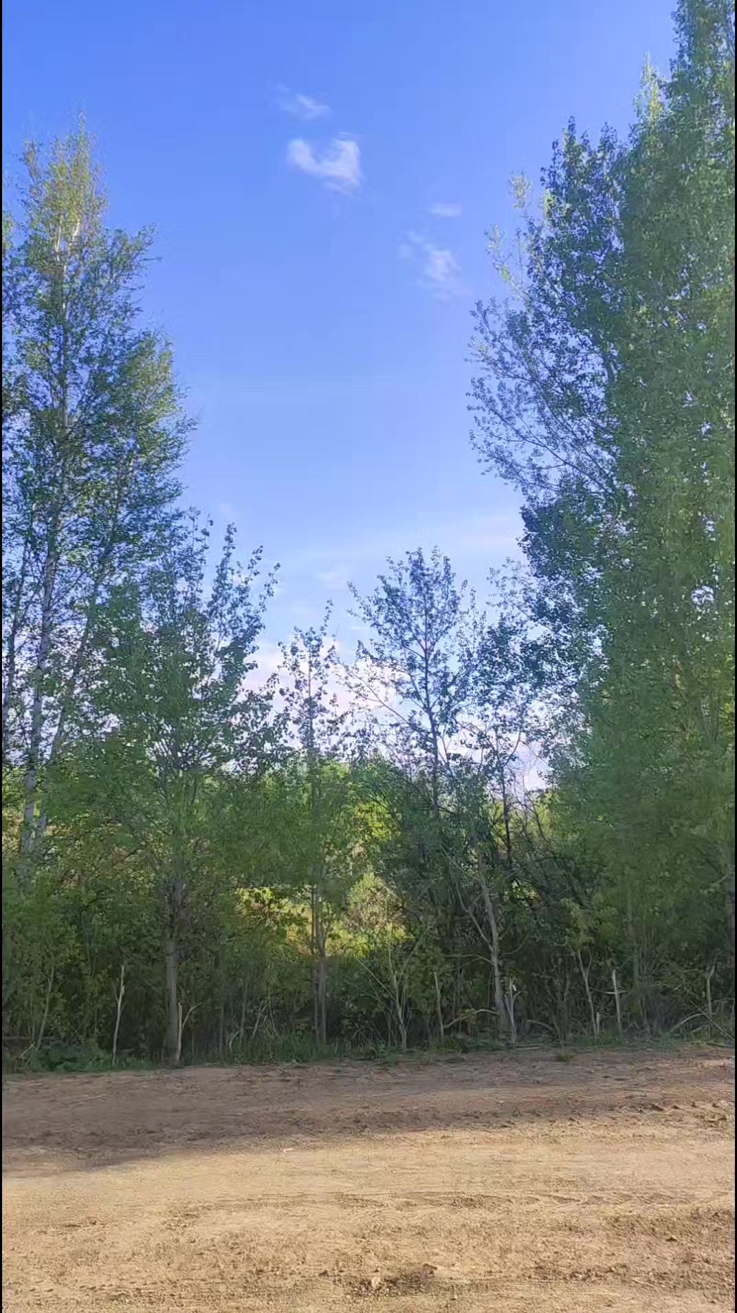 @Екатерина