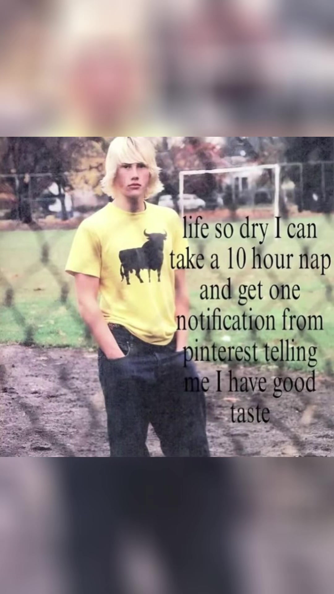 @🦑🐇˚꩜｡Fₗₑₐ ˚꩜｡🦑🐇