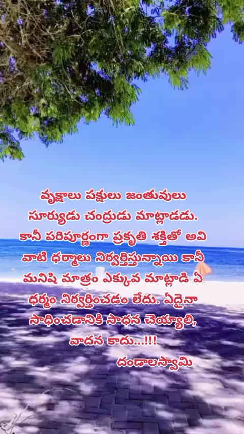 @dhandalaswami