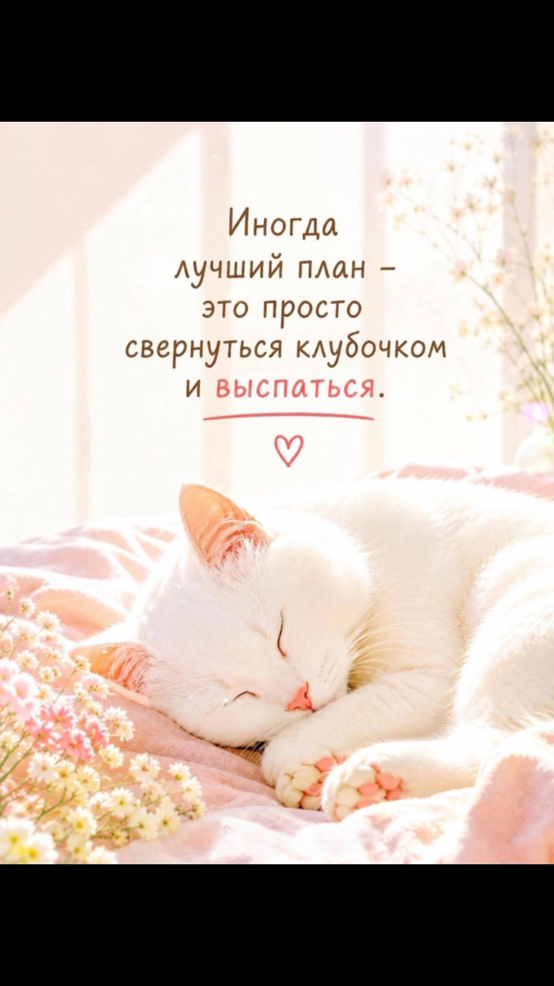 @леди Бодрум а 3