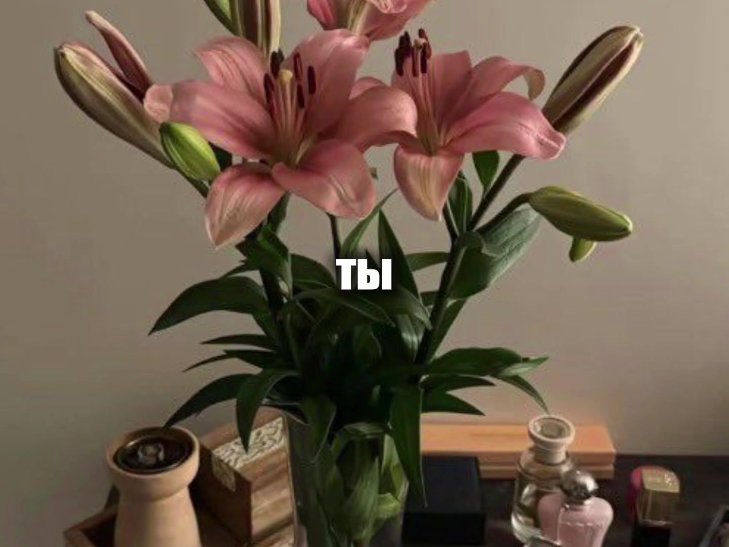 @музыка для липсингов
