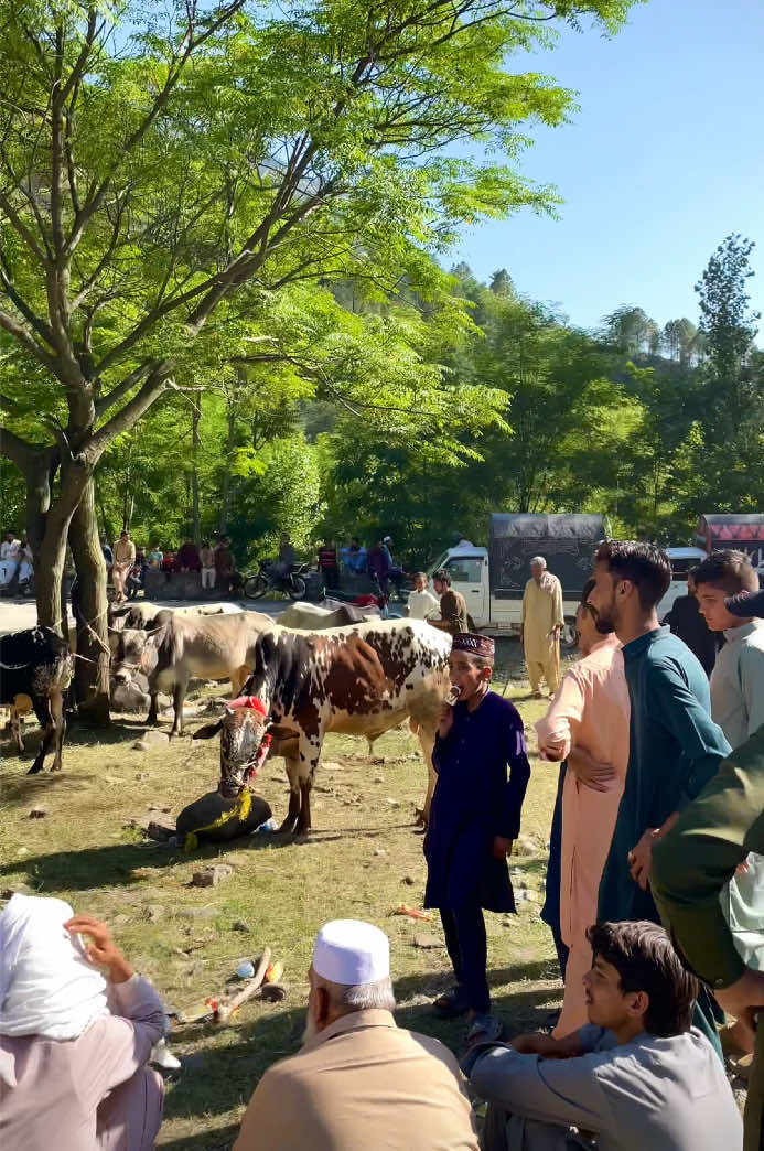 @BANJARA