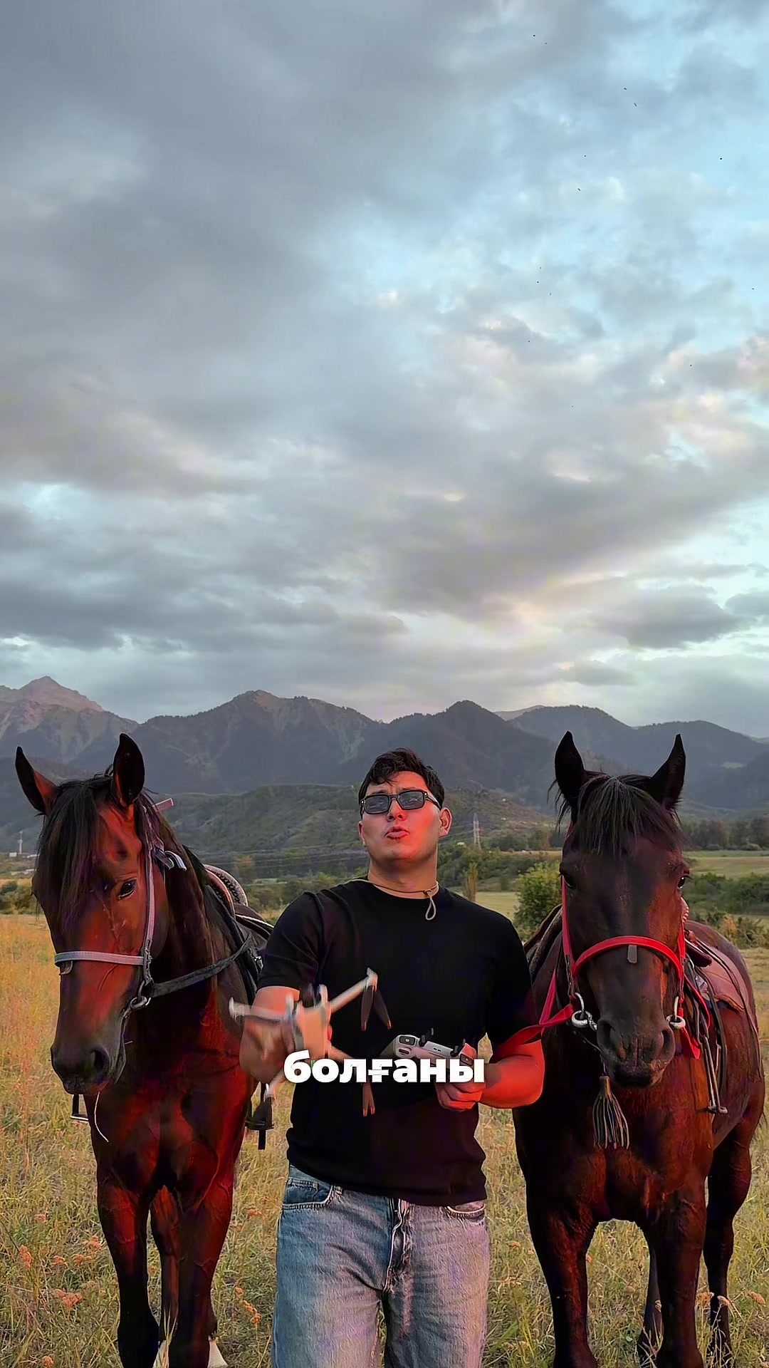@tulpar_horses