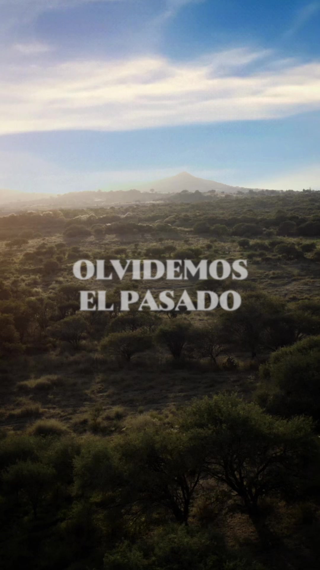 @Vicente Fernández