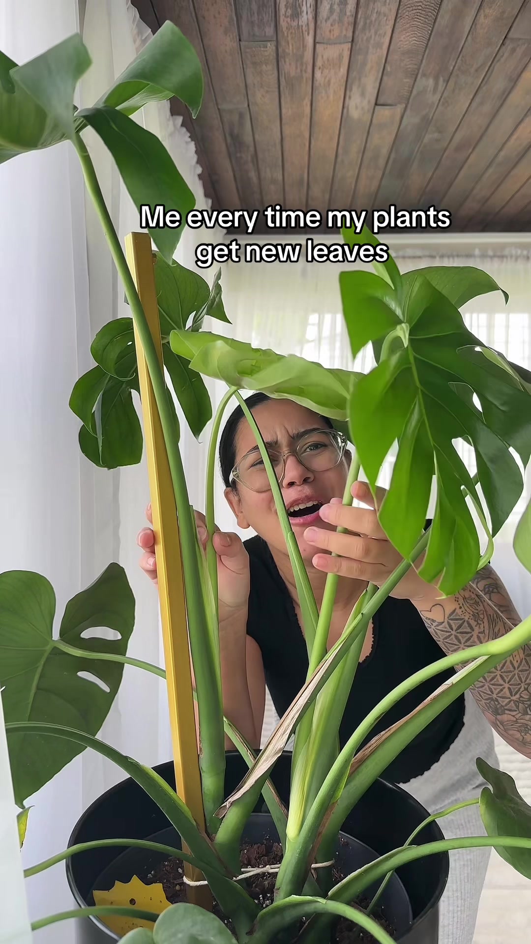 @Plantiiplants